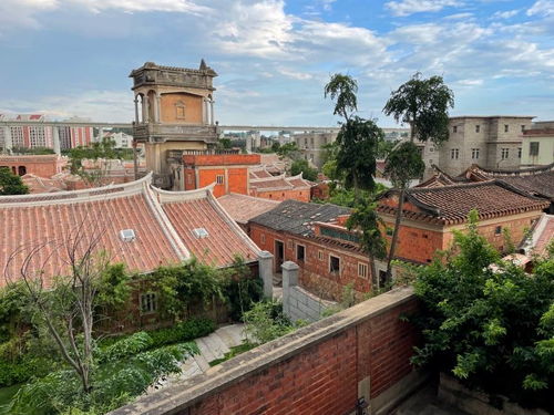 梧林南洋夢 起大厝與實(shí)業(yè)報國的家國情懷