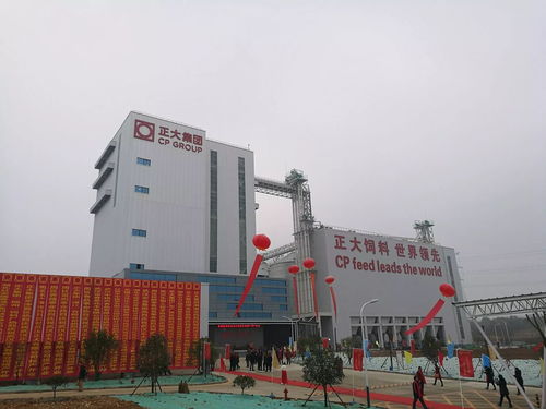 新洲億元項(xiàng)目彰顯高效建設(shè)，實(shí)業(yè)投資激發(fā)區(qū)域經(jīng)濟(jì)新活力